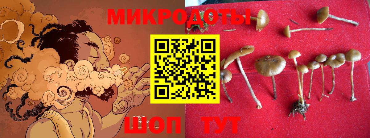 Псилоцибиновые грибы мухоморы  Вход с VPN  продажа наркотиков  Туймазы  Псилоцибиновые грибы GOLDEN TEACHER 