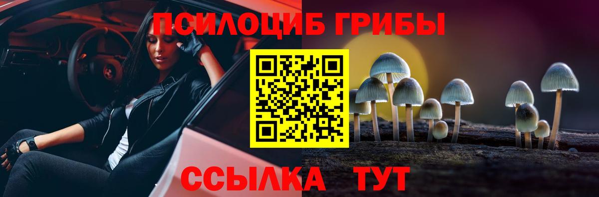 Псилоцибиновые грибы мухоморы Туймазы